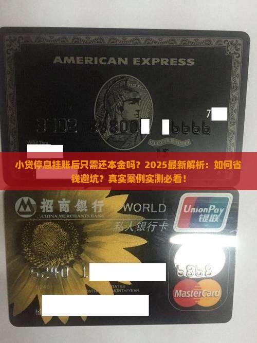 小贷停息挂账后只需还本金吗