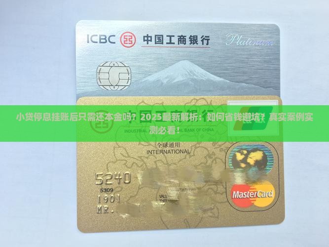 小贷停息挂账后只需还本金吗