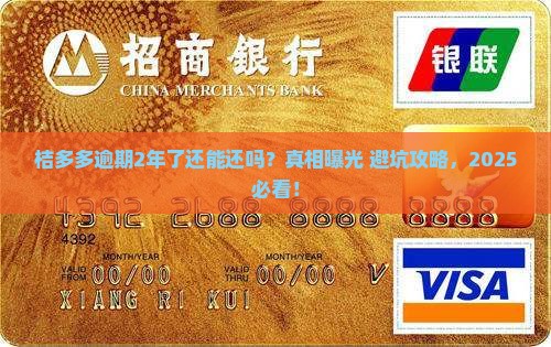 如何处理桔多多逾期2年了怎么还问题