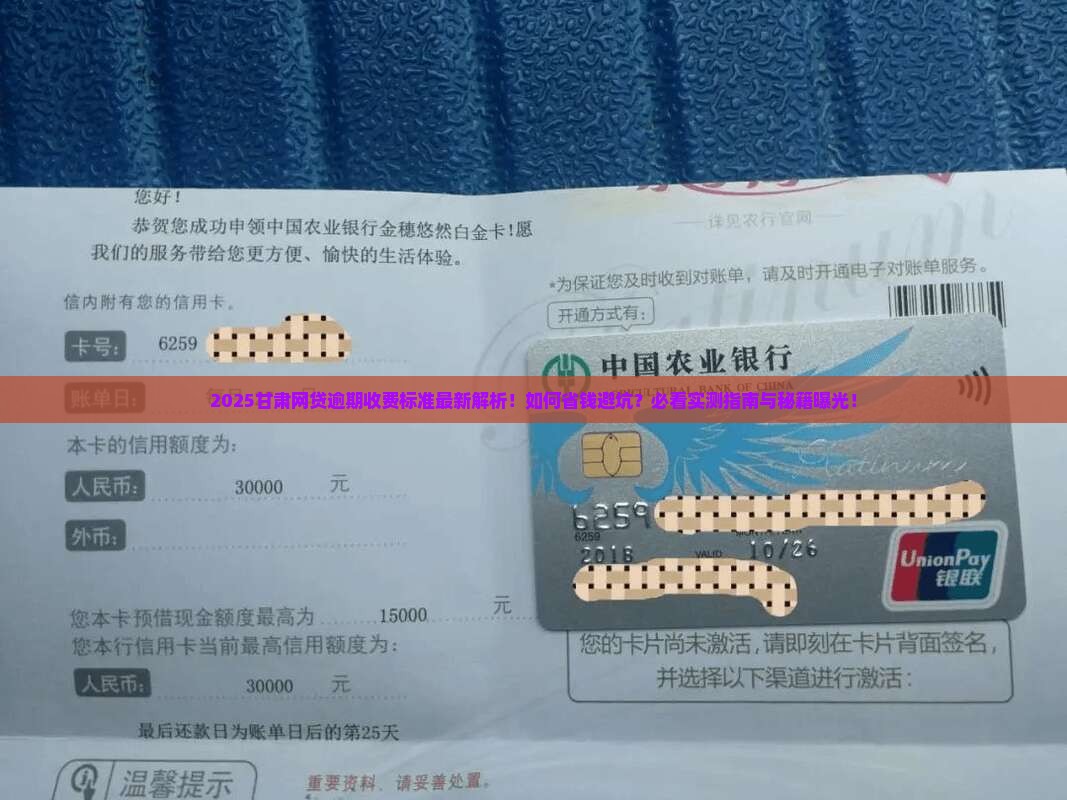 甘肃网贷逾期收费标准最新是什么