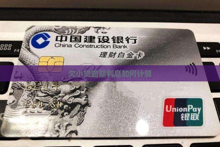 欠小贷逾期利息如何计算 欠小贷逾期利息如何计算