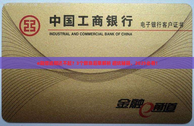 e融借无力偿还的后果是什么