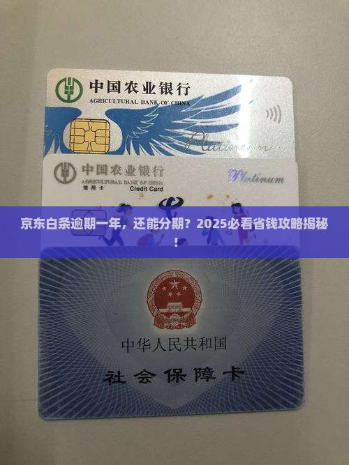 京东白条逾期一年能分期吗