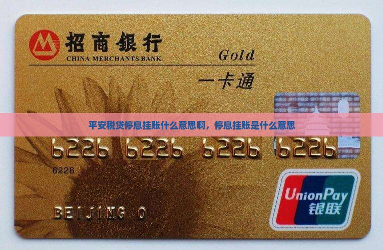 平安税贷停息挂账什么意思