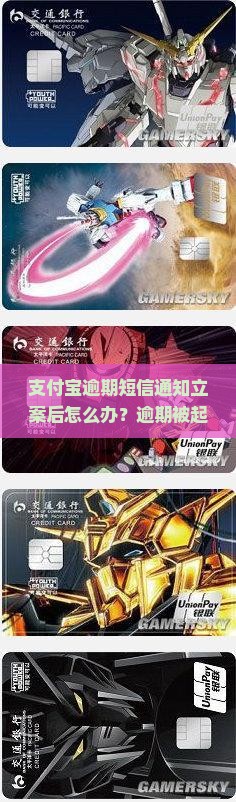 支付宝逾期短信通知立案后怎么办