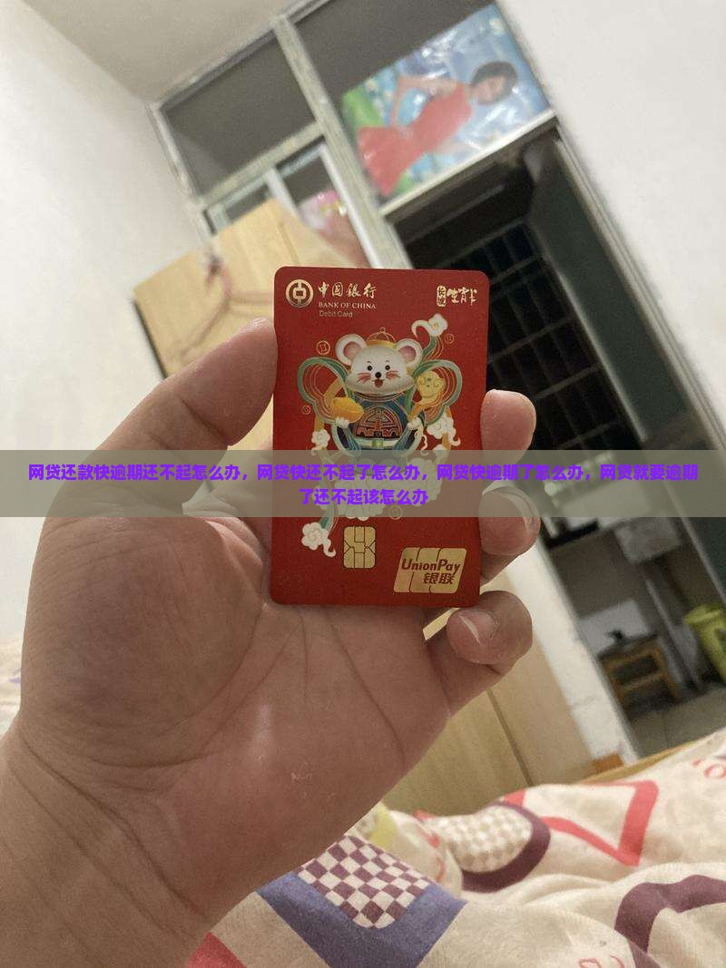 网贷还款快逾期还不起怎么办