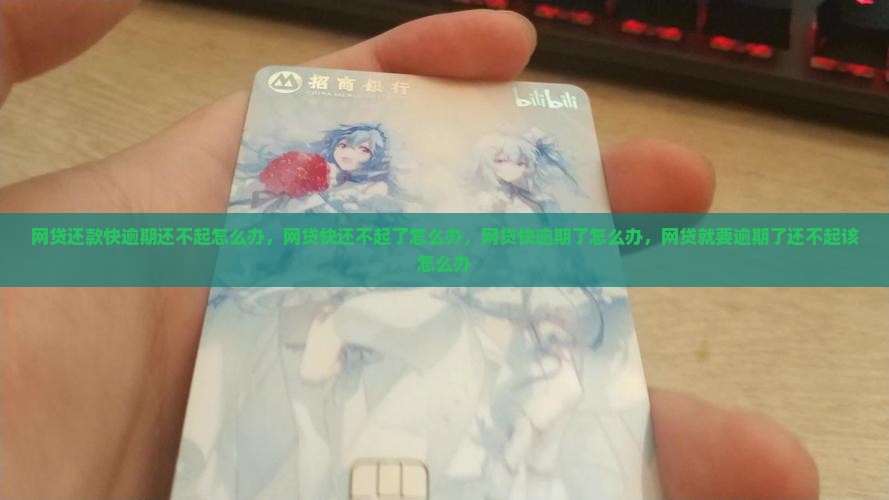 网贷还款快逾期还不起怎么办