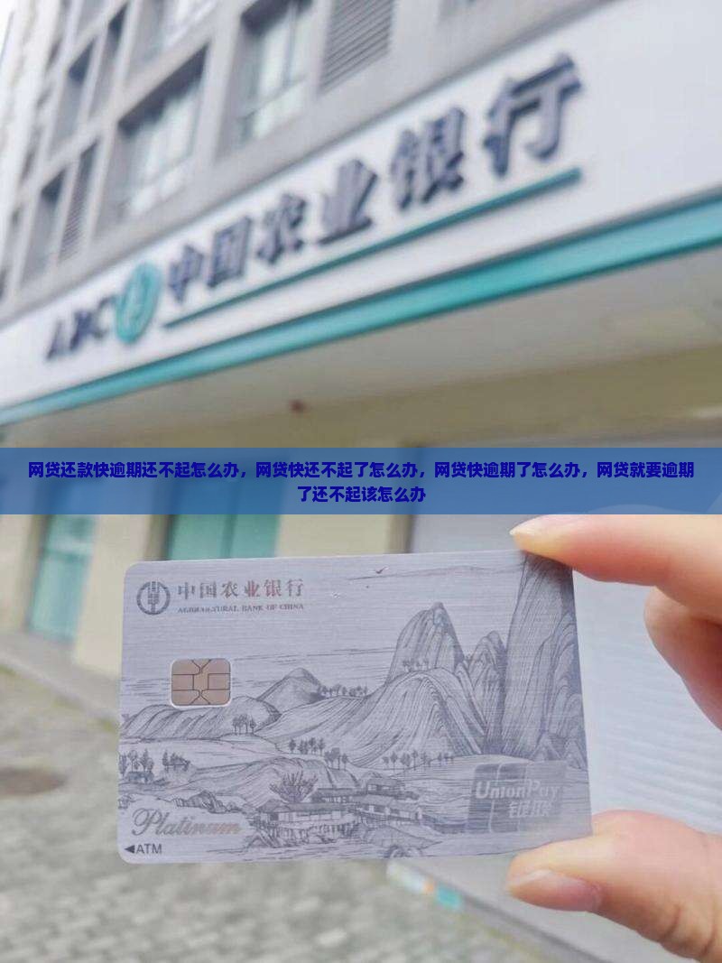 网贷还款快逾期还不起怎么办