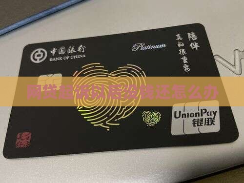 网贷起诉以后没钱还怎么办