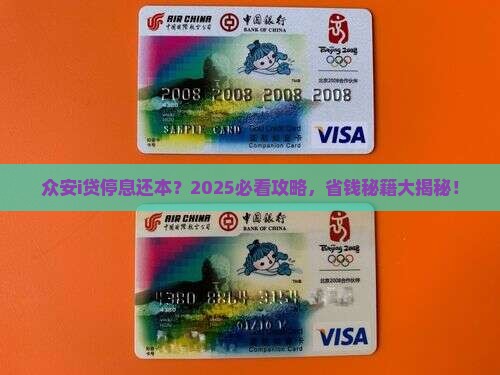 众安i贷停息还本的处理方式是什么