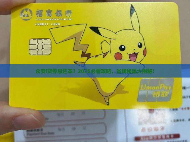 众安i贷停息还本的处理方式是什么