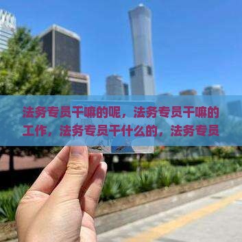 法务专员干嘛的