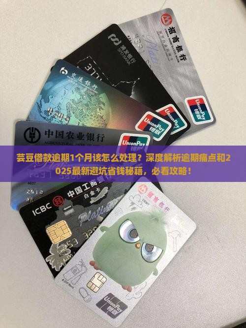 芸豆借款逾期1个月该怎么处理