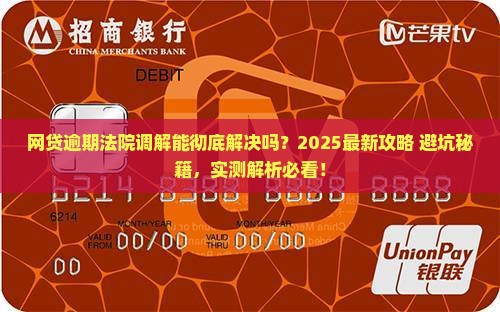 网贷逾期可以通过法院调解解决吗