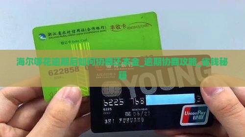 海尔够花逾期后如何协商还本金