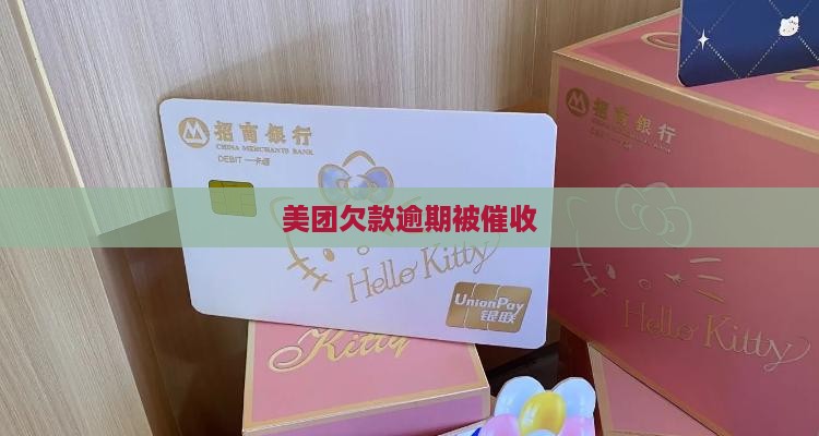 美团欠款逾期被催收