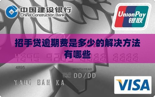 招手贷逾期费是多少的解决方法