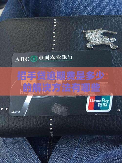 招手贷逾期费是多少的解决方法