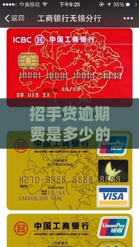 招手贷逾期费是多少的解决方法