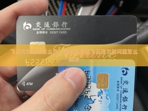 达飞云贷欠款出现问题怎么办