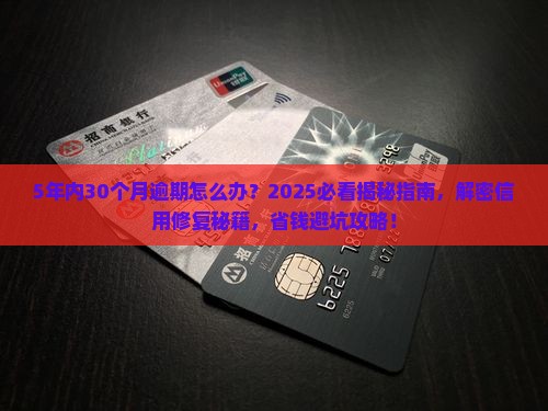 5年内有30个月逾期怎么办