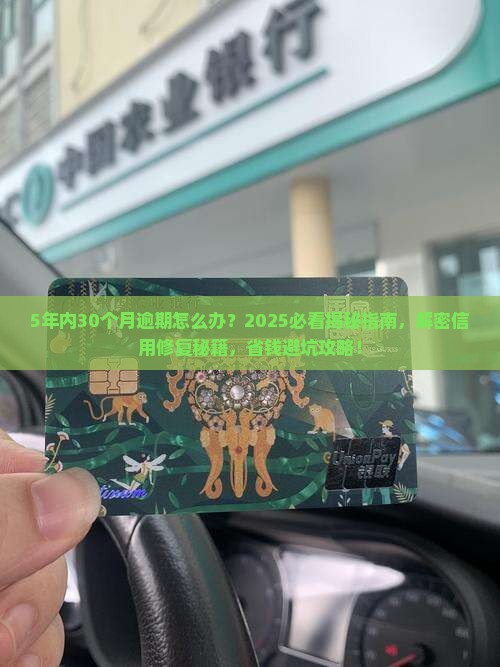5年内有30个月逾期怎么办