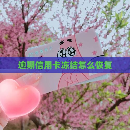 贷款逾期信用卡冻结怎么解冻