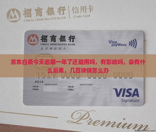 京东白条今天逾期一年了