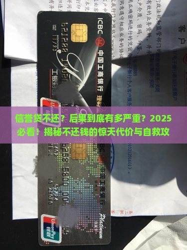 信誉贷不还有什么后果嘛怎么处理