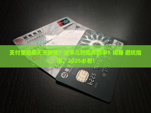支付室逾期天天催收
