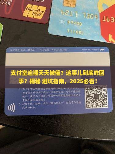 支付室逾期天天催收