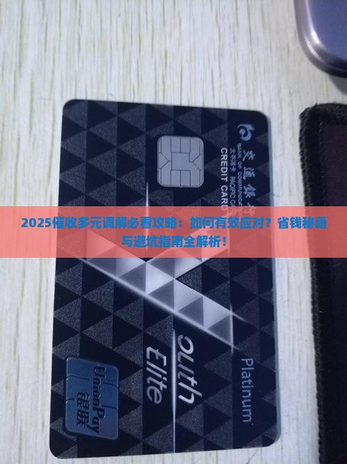 催收多元调解怎么办