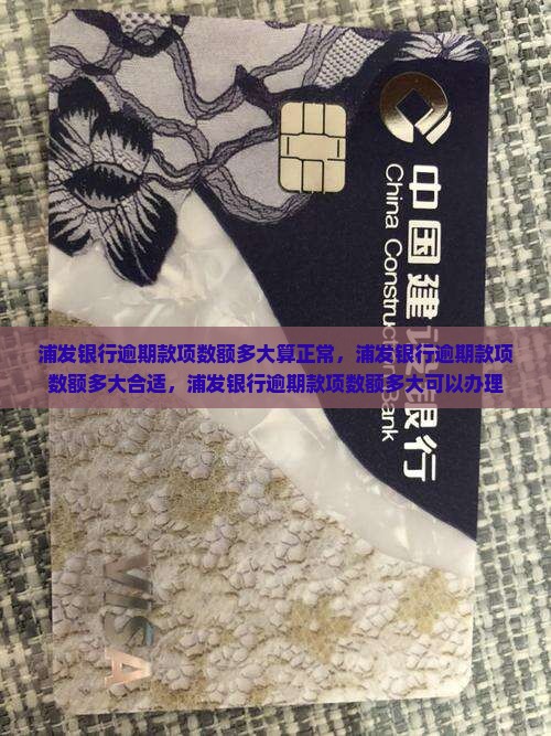 浦发银行逾期款项数额多大