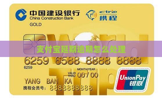 支付宝借款延期偿还怎么办