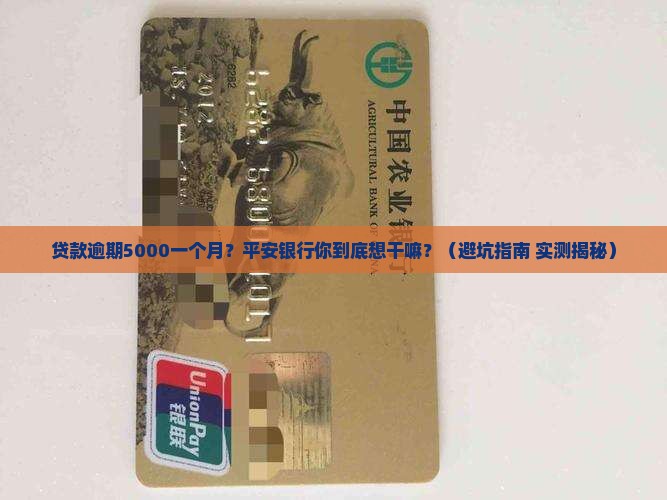 平安银行贷款逾期5000一个月
