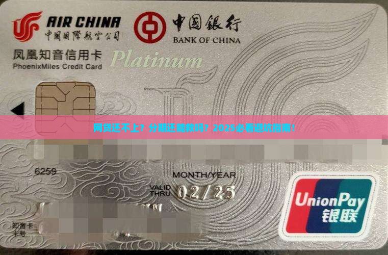 网贷还不上怎么能分期解决