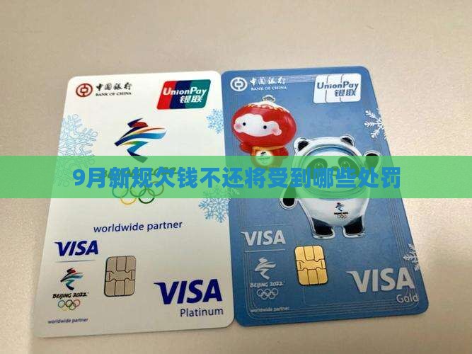 9月新规欠钱不还将受到哪些处罚