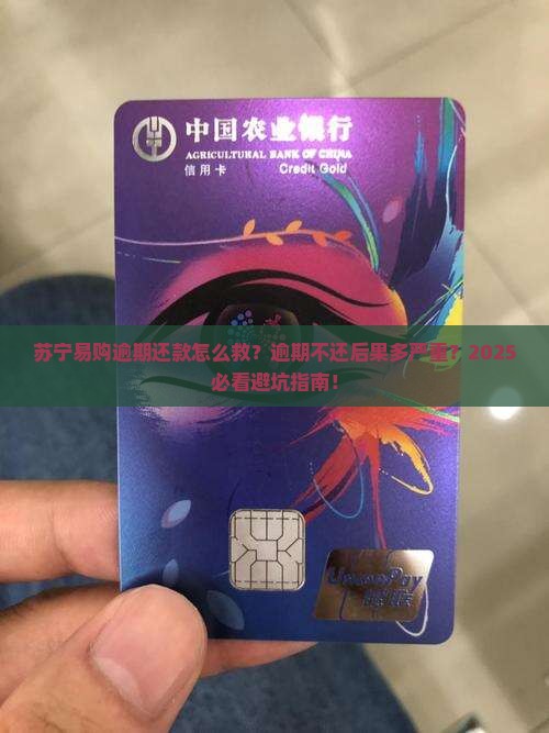 苏宁易购逾期还款怎么处理