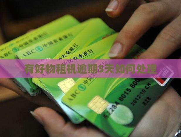 有好物租机逾期5天如何处理