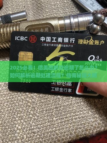 借美团的款逾期怎么办理