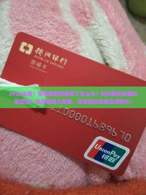 借美团的款逾期怎么办理