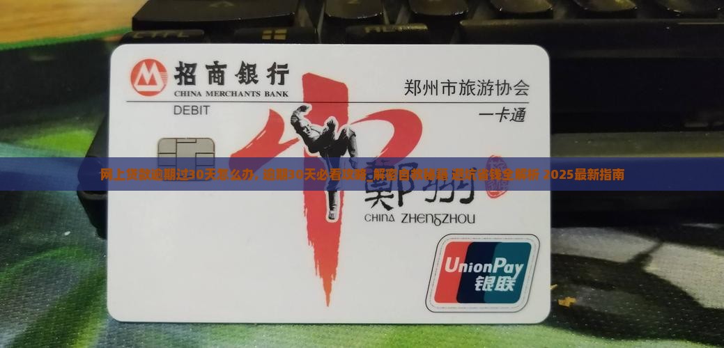 网上贷款逾期过30天怎么办