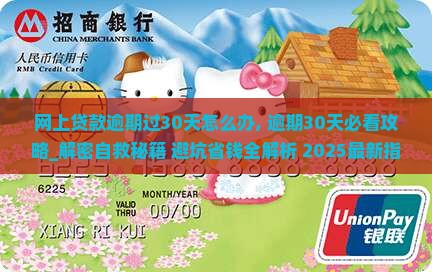 网上贷款逾期过30天怎么办