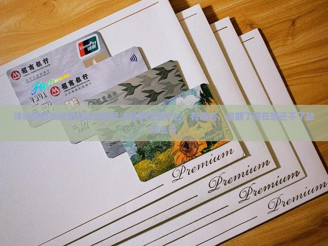 洋钱罐借款逾期催收流程及注意事项