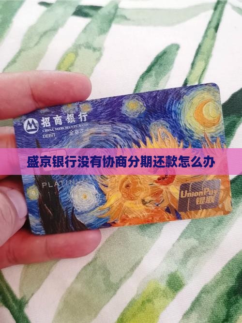 盛京银行没有协商分期还款怎么办