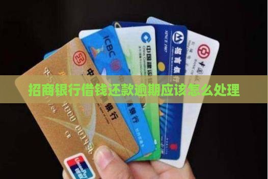 招商银行借钱还款逾期应该怎么处理