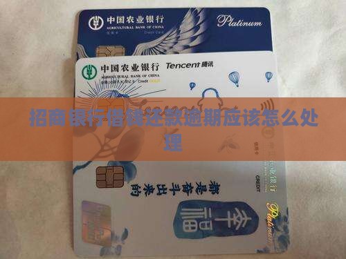 招商银行借钱还款逾期应该怎么处理