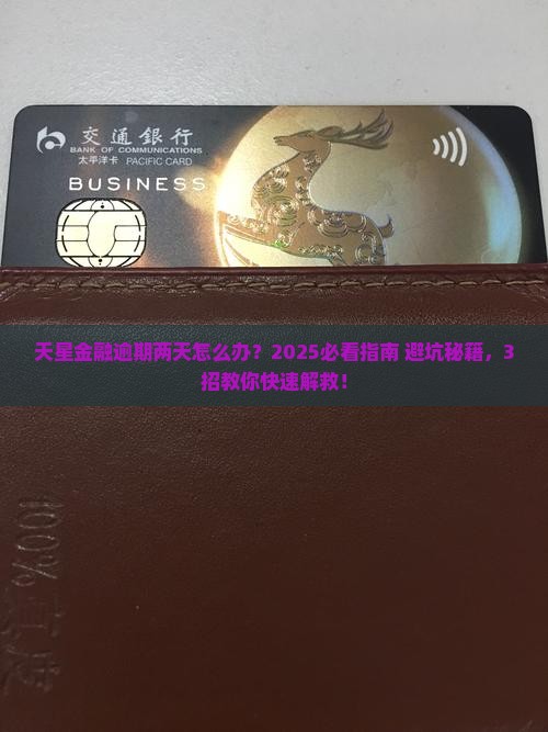 天星金融逾期两天