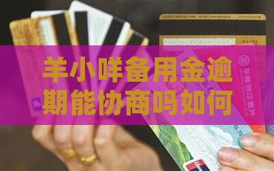 羊小咩备用金逾期能协商吗如何处理