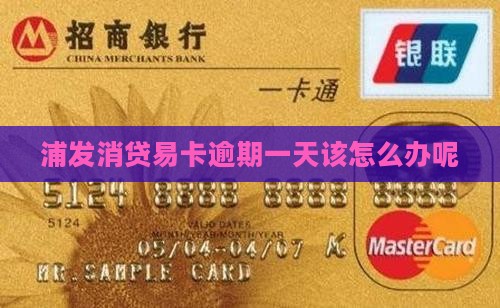 浦发消贷易卡逾期一天该怎么办